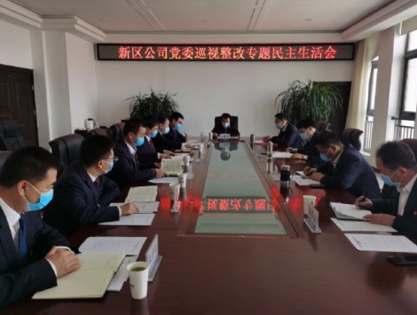 甘肅建投新區公司黨委召開巡視整改專題民主生活會